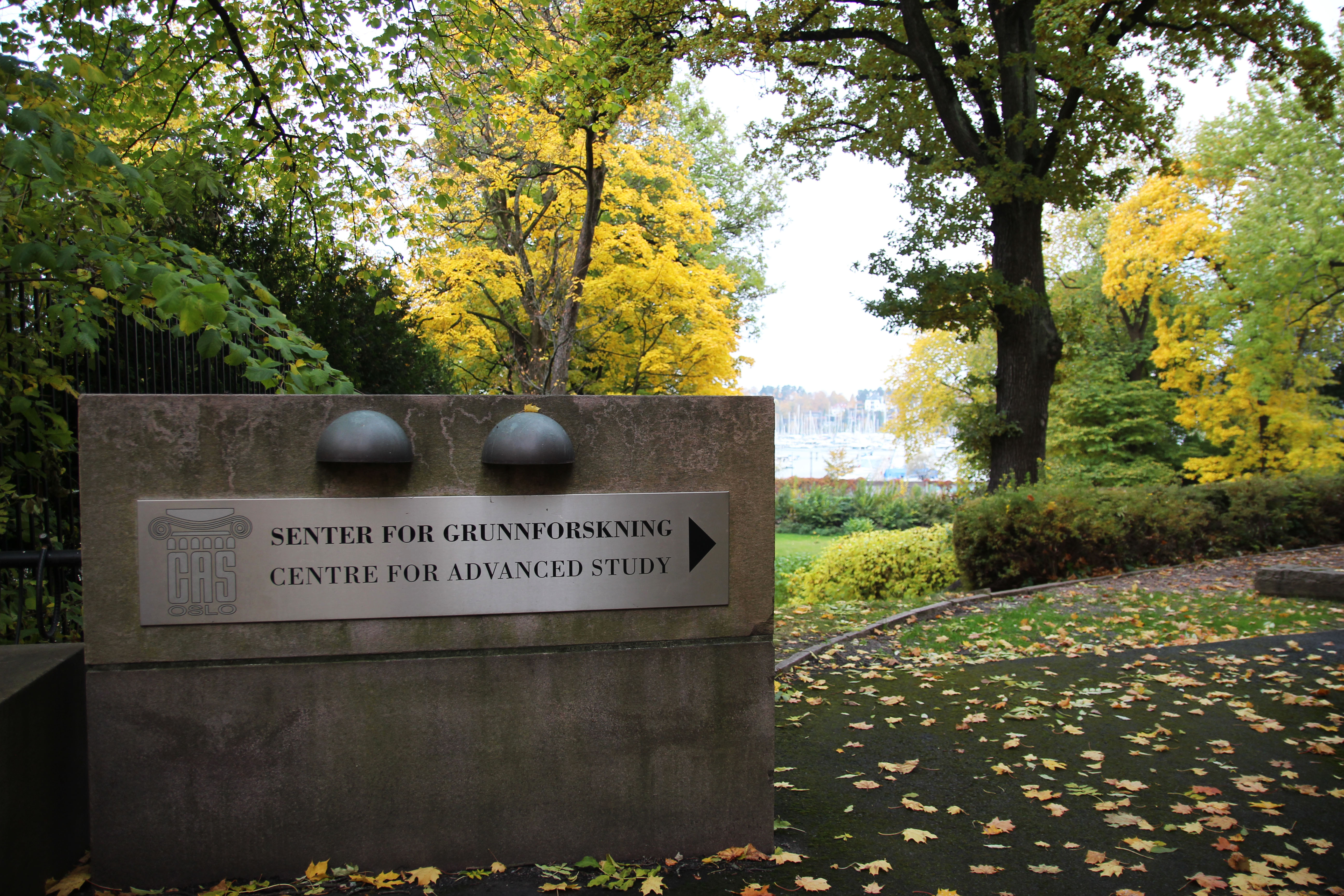 Fall at the Centre for Advanced Study (CAS) in Oslo