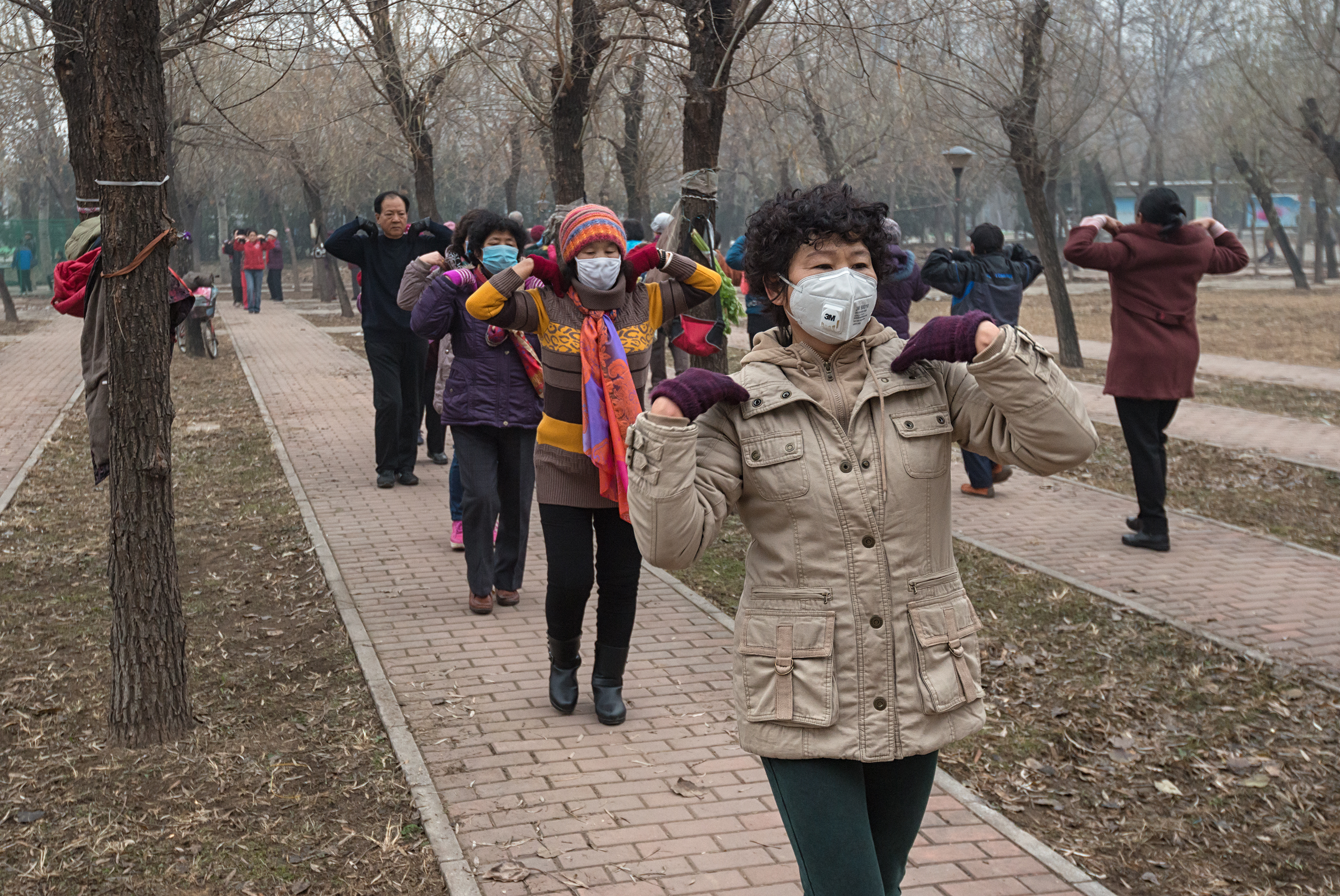 The 2016/2017 CAS project Airborne: Pollution, Climate Change, and New Visions of Sustainability in China attempts to 'answer the questions of how, and to which extent, Communist authorities, scientists, rural/urban inhabitants, and environmental organizations interact in responding to the inseparable risks of air pollution in China and global climate change'.