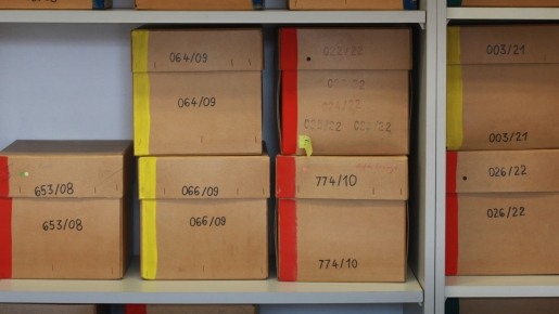 Boxes containing skulls in anthropological collection